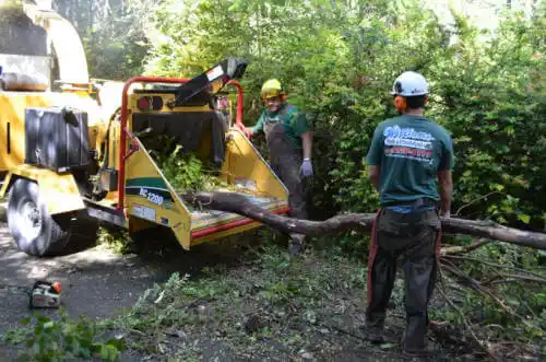 tree services Baltic